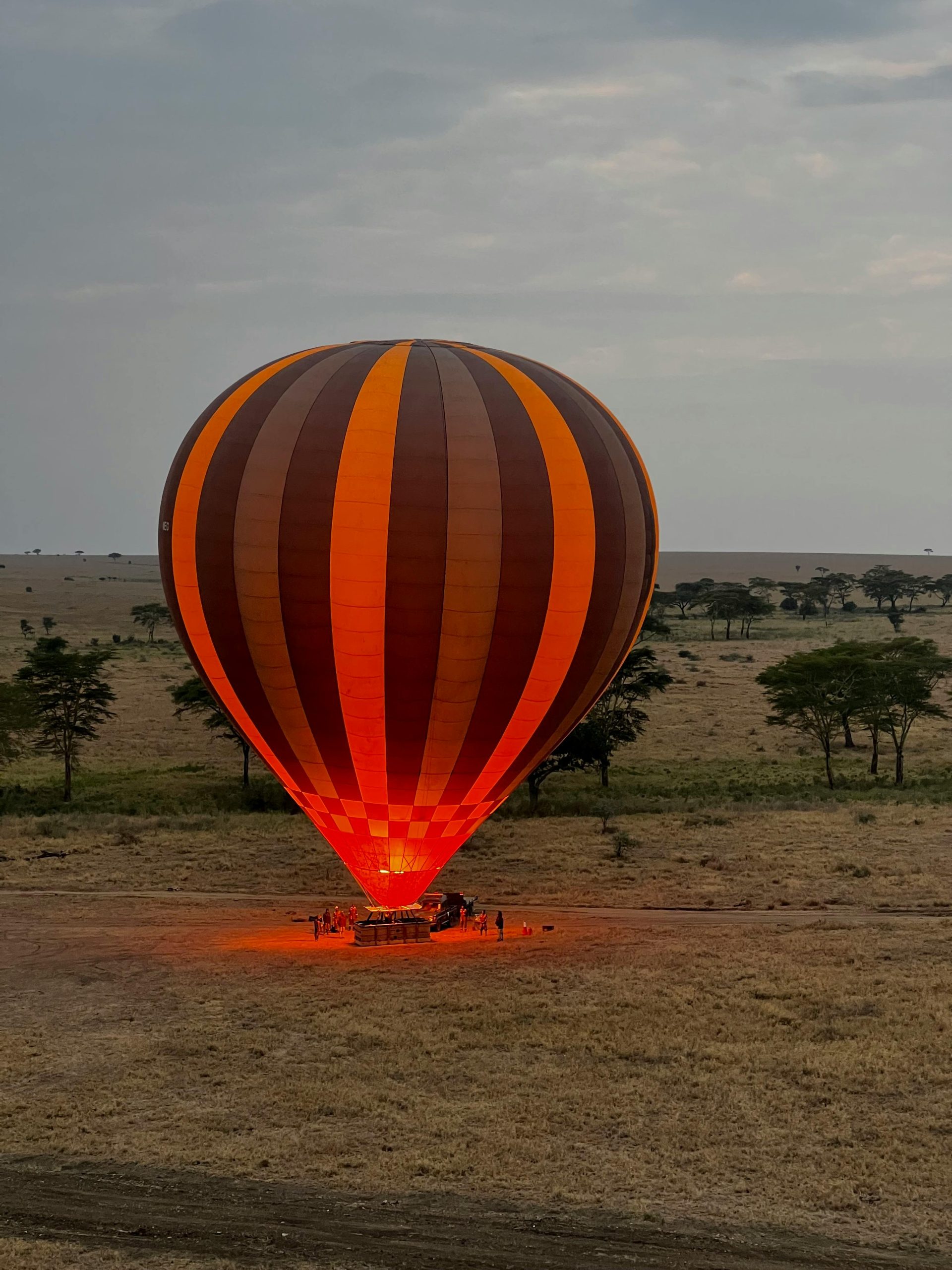 A Hot Air Balloon on the Field