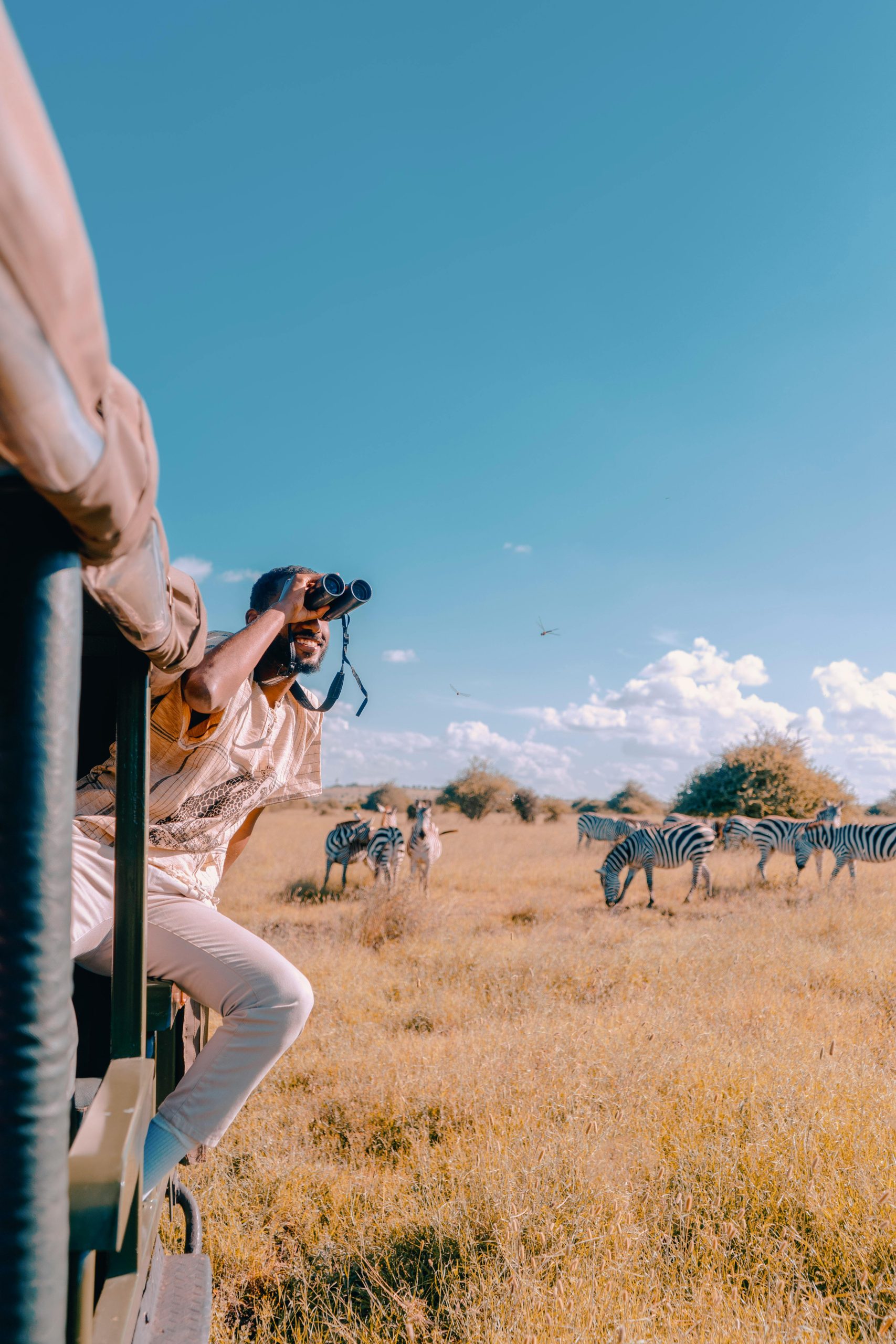 Man Traveling on a Trailer, Observing Zebras Grazing in a Savannah